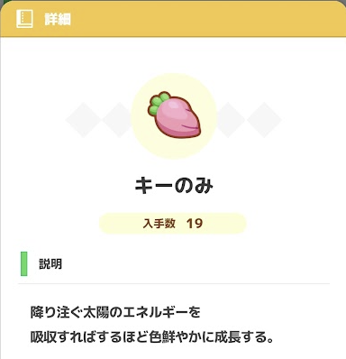 リサーチノート きのみ キーのみ