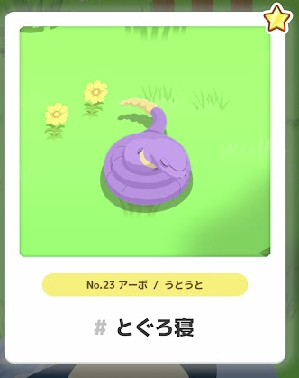 アーポ/うとうと とぐろ寝