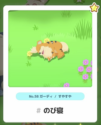 ガーディ/すやすや のび寝