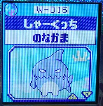 W-015しゃーくっち