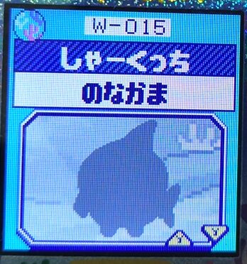 W-015しゃーくっち