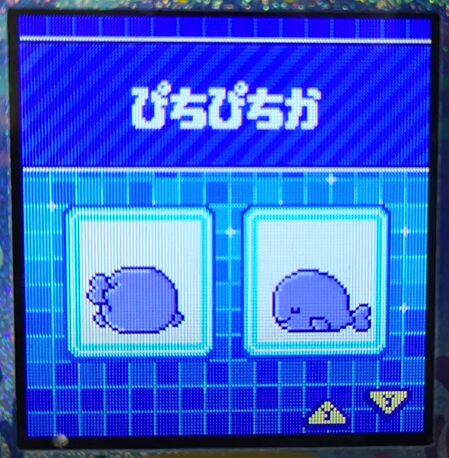 W-004ぴちぴちか