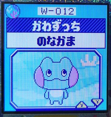 W-012かわずっち