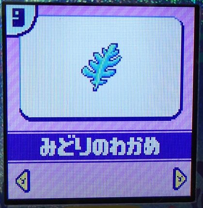 みどりのわかめ