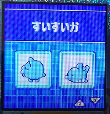 W-006すいすいか