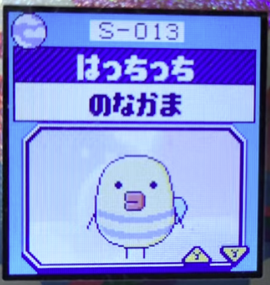 S-013はっちっち