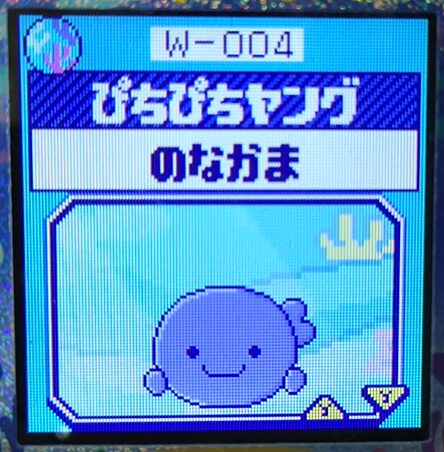 W-004ぴちぴちヤング