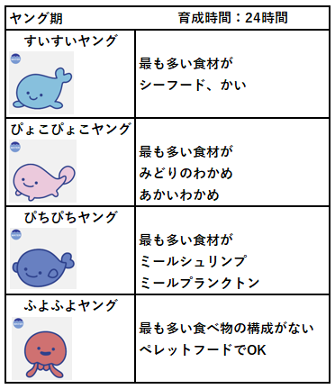 みずヤング期