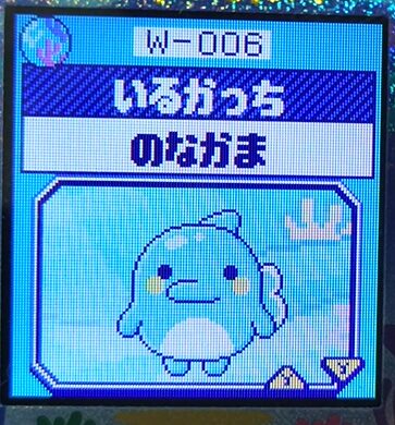 W-006いるかっち