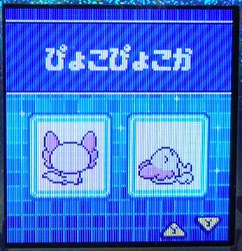 W-010ぴょこぴょこか