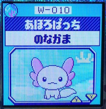W-010あほろぱっち