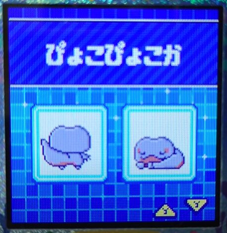 W-011ぴょこぴょこか