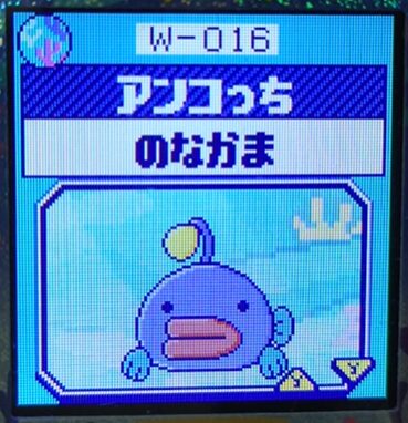 W-016アンコっち