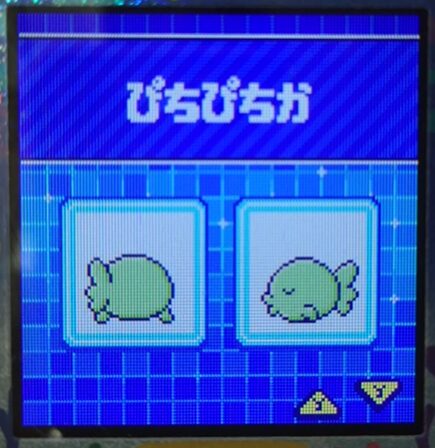 W-017ぴちぴちか