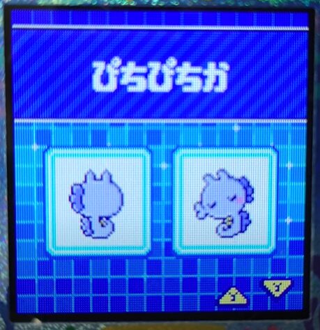 W-014ぴちぴちか