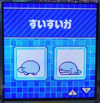 W-014ぴちぴちか