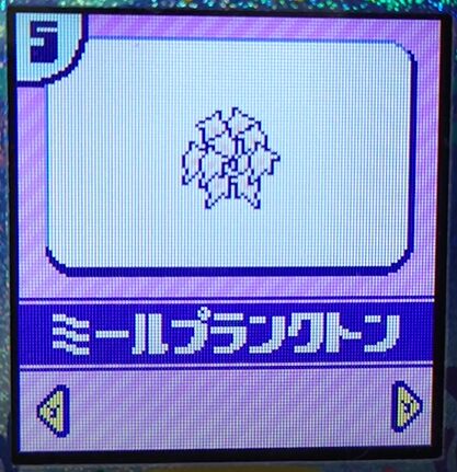 ミールプランクトン