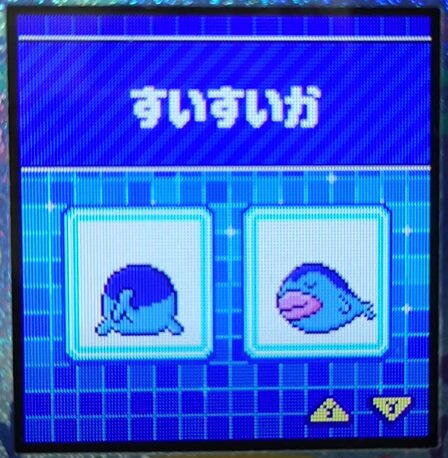 W-009すいすいか