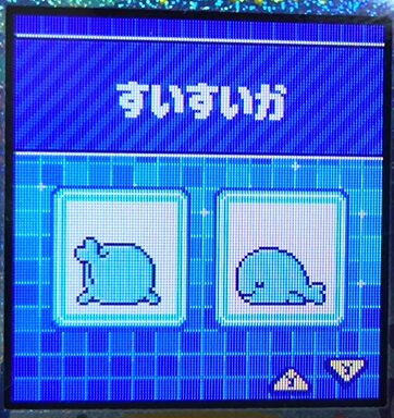 W-002すいすいか