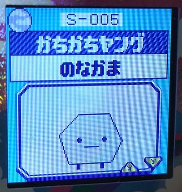 S-005かちかちヤング