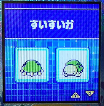 W-007すいすいか