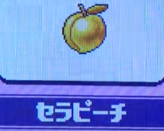 セラピーチ