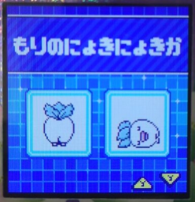 F-021もりのにょきにょきか