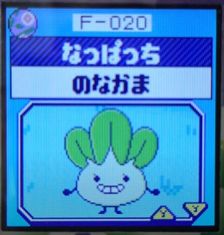 F-020なっぱっち