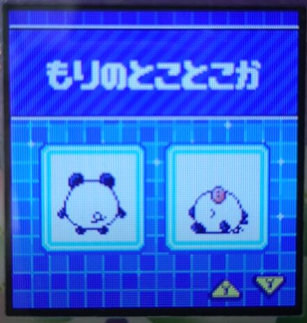 F-013もりのとことこか