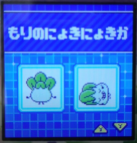 F-020もりのにょきにょきか