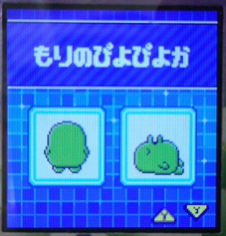 F-016もりのぴよぴよか