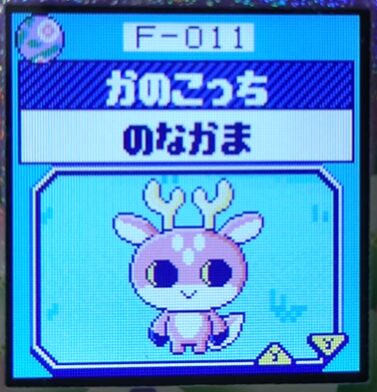F-011かのこっち