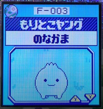 F-003もりとこヤング