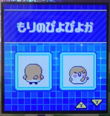 F-017もりのぴよぴよか