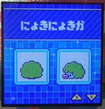 L-021にょきにょきか