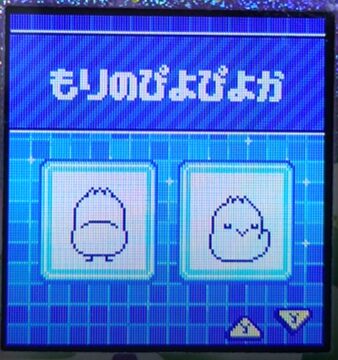 F-004もりのぴよぴよか