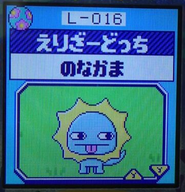L-016えりざーどっち