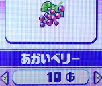 あかいベリー
