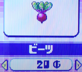 ビーツ