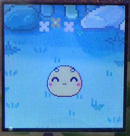 【ベビー期】しいたけっちとたつっち+れさぱんっちとブリード