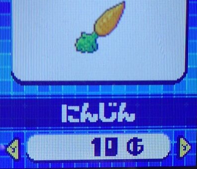 にんじん