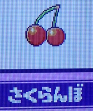 さくらんぼ
