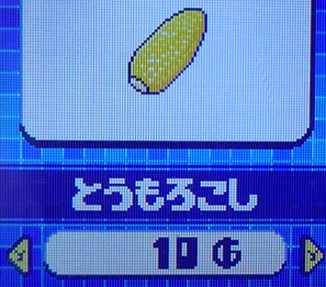 とうもろこし
