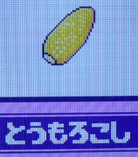 とうもろこし
