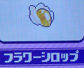 フラワーシロップ