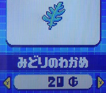 みどりのわかめ