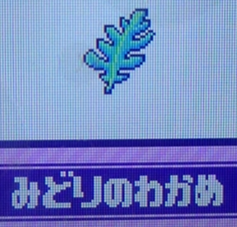 みどりのわかめ