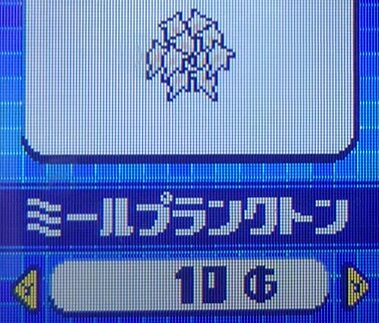 ミールプランクトン