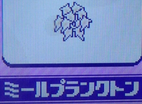 ミールプランクトン