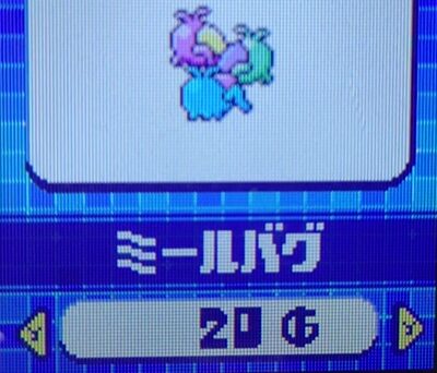 ミールバグ